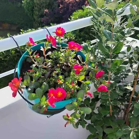 דירה Casa Tra I Castelli